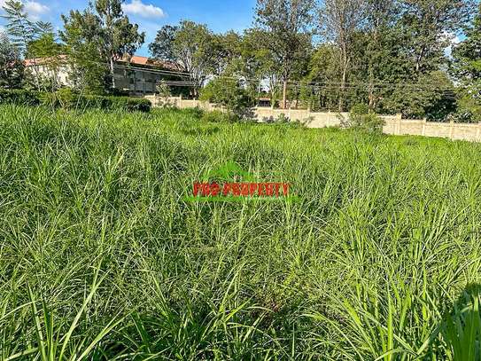 0.4 ha Commercial Land at Thogoto image 27
