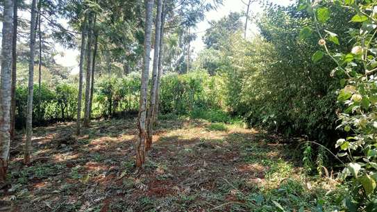 land for sale in Ruaka image 9