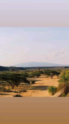 Chalbi Desert Adventure image 2