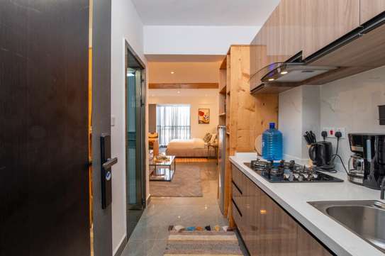Furnished 1 Bed Apartment with En Suite in Riverside image 15