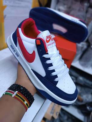 Nike SB Force White Blue Red Sneakers image 1