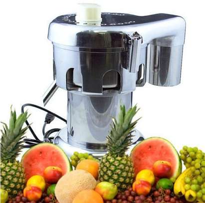 Commercial Vegitable Fruit Juice Extractor  Heavy Duty image 1