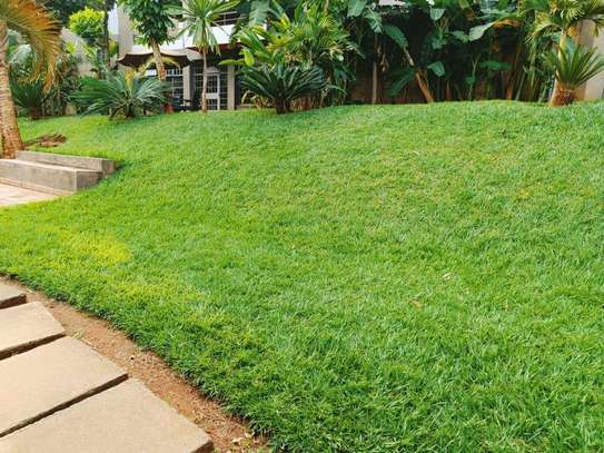 4 Bed House with En Suite in Spring Valley image 12