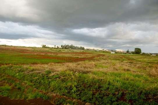 0.125 ac Commercial Land at Ruiru - Mugutha ( Kabogo) Road image 3