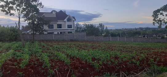 Residential Land at Adjacent To Muhasibu Estate image 15