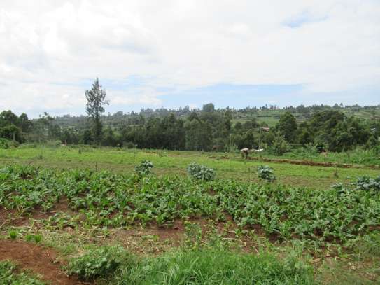 3.25 Acres Of Land For Sale in Ruku/Wangige image 4
