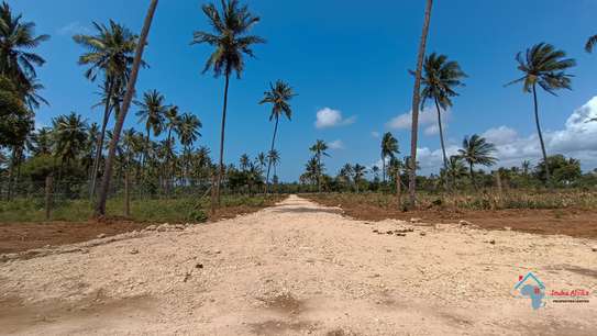 Prime Tropical Land Plot Cleared for Building image 7