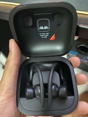 Beats by Dre Powerbeats Pro True Wireless Earbuds image 2