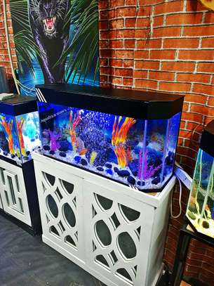 Complete setup Aquariums image 2