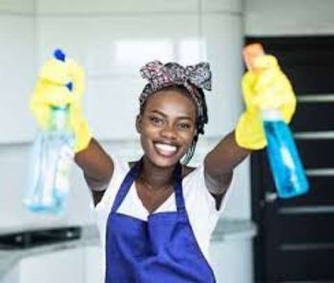 Top Rated Cleaning Services in Spring Valley,Westlands,Karen image 5