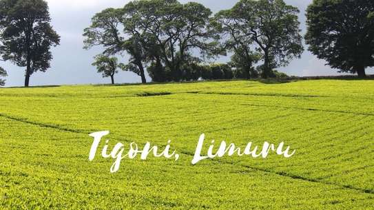 20 ac Land at Riara Ridge image 6