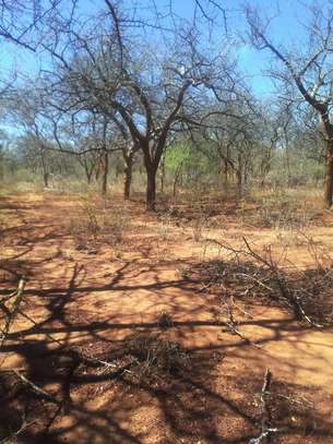64 acres along Makindu-Wote Road Makueni County image 7