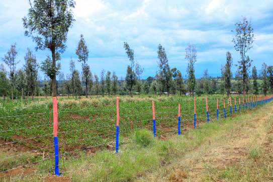 Nakuru Achievers 💎 Gardens 🏡 image 1