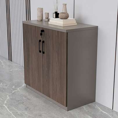 Office Cabinet: 2-Door Half-Way Office Cabinet image 1