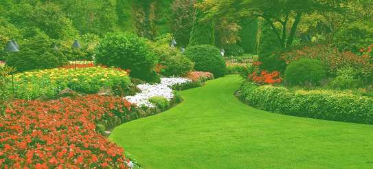 Reliable & Affordable Gardeners |High Quality Gardening & Landscaping.Contact us today image 11