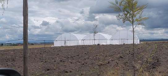 Greenhouse image 1