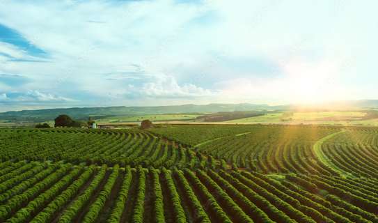 1 ac Land at Riara Ridge image 1