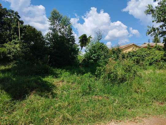 50 by 200 plot for sale in Kitisuru image 4