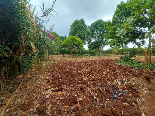 0.5 ac Residential Land at Kwaheri Road Near Regis School image 2