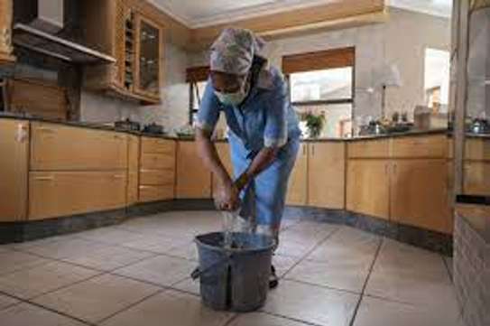 Professional Home Cleaning Services | Vetted Cleaners & Domestic Services | We’re available 24/7. Give us a call . image 1