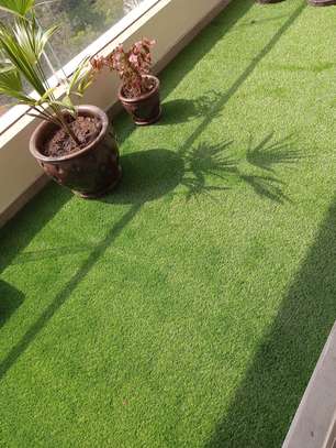 green splendor; grass carpet image 1