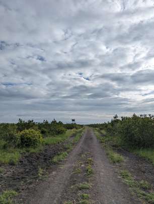1 ac Land in Nanyuki image 4