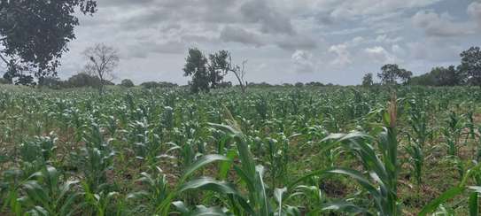 1/4 and Full Acre Plots for sale in Malindi image 10