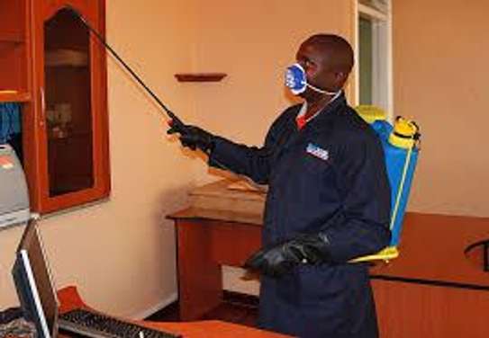Guaranteed Bedbug Pest Control, Cleaning & Domestic Services. image 1