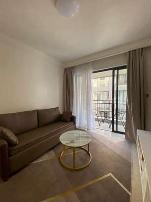 Furnished 1 Bed Apartment with Swimming Pool in Ruaka image 25