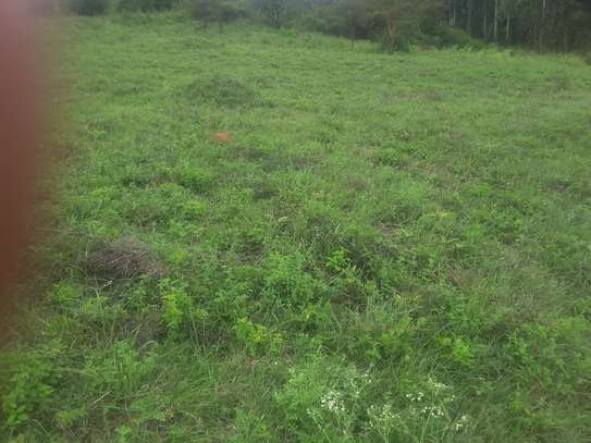 Beautiful one eighth plots in Ngong image 7