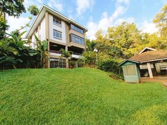 4 Bed House with En Suite in Spring Valley image 15