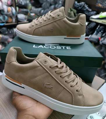 Lacoste casuals size:40-45 image 4