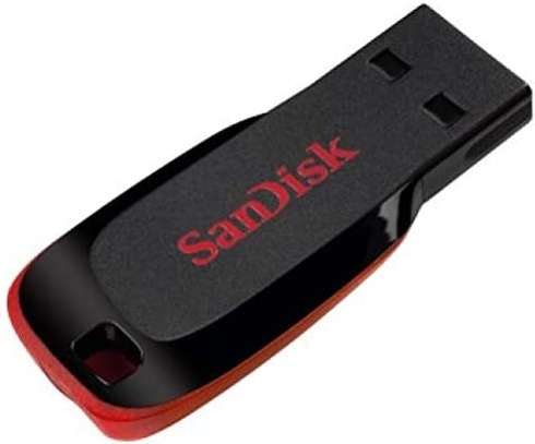 Sandisk Cruzer Blade 16GB USB 2.0 Flash Drive image 1