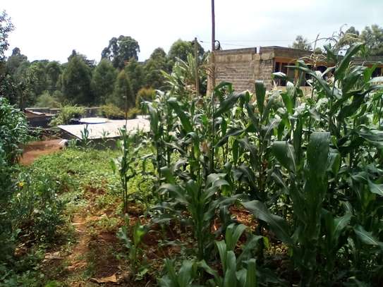 1/4-Acre Plot For Sale in Wangige image 6