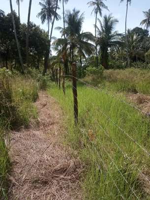 land for sale in vipingo image 10