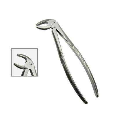 lower premolar forceps  price in nairobi,kenya image 3
