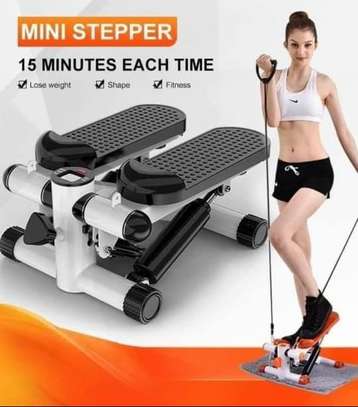 Mini Stepper Exercise Machine Home Gym Fitness Equipment image 1