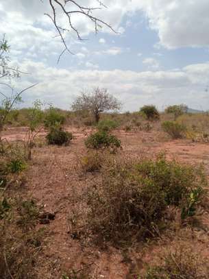 10 Acres for sale in canaan within voi image 6