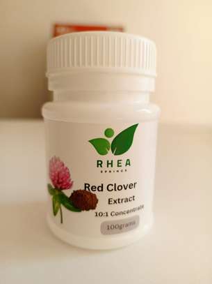 Red Clover Extract image 1