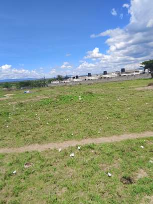 Empakasi Gardens Phase 2 6-Decimal Serviced Plot image 3