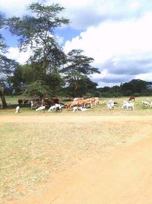 400 acres along Athi-River in machinery makueni county image 7