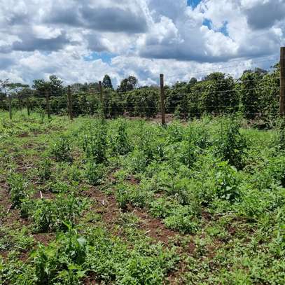 0.05 ha Residential Land in Thika Road image 10