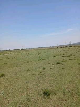 Open Land Spacious Flat Terrain with Mountain Views image 2