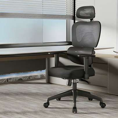 Office Chair:  Lumbar Support Office Chair image 1