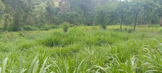 0.25 ac Commercial Land at Kiambu Kirigiti image 2