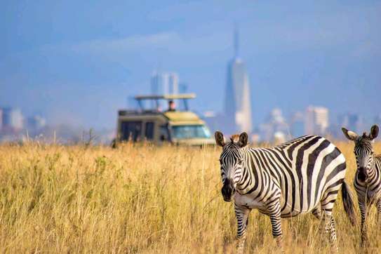 Nairobi National Park Half Day image 3