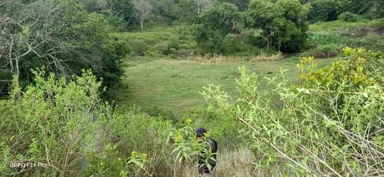 BEAUTIFUL 3 ACRES LAND FOR SALE IN TIMAU image 7
