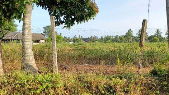 15 ac Land at Bomani image 6