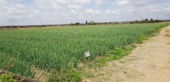10 ac Land in Isinya image 4