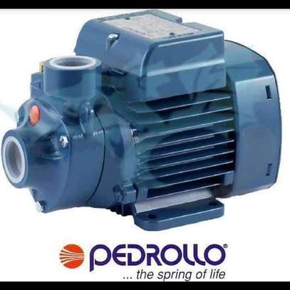 Pedrollo 0.5HP water pump image 1